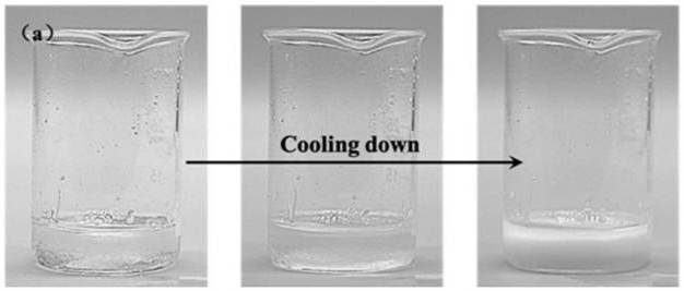 A kind of polyurethane-based ionic liquid perfusion coating prefabricated liquid and its preparation method, ionic liquid perfusion coating