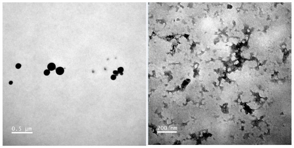 Preparation method of butenolide compound composite nanocrystals