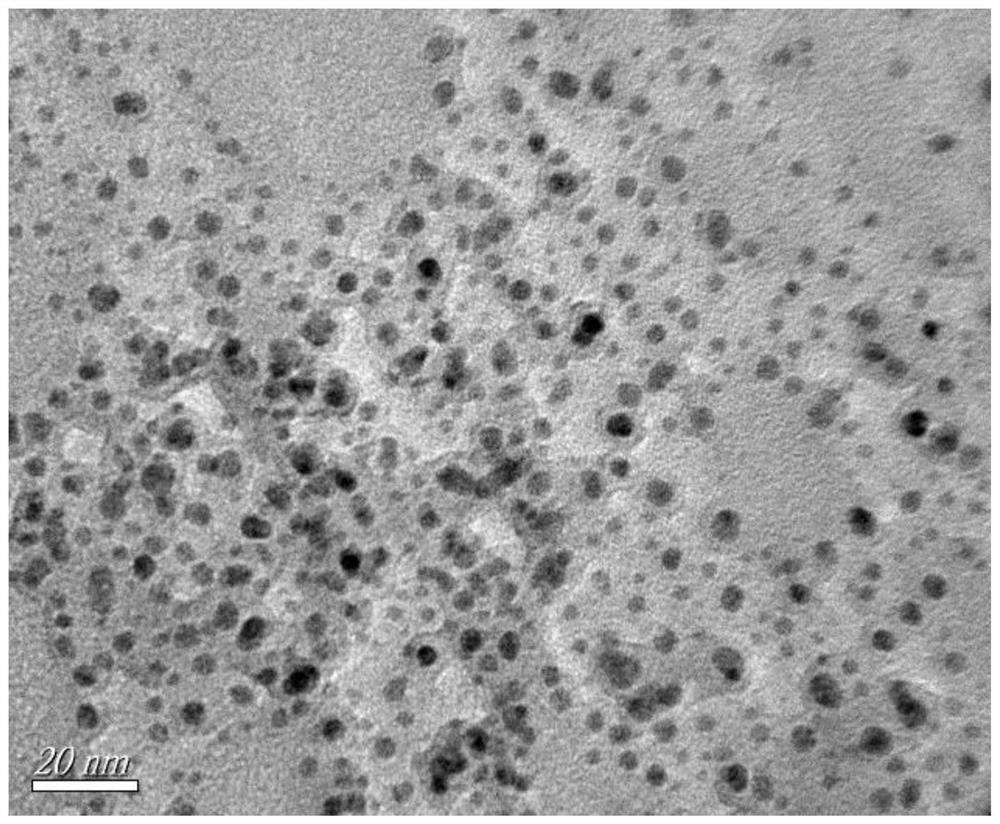 protein-fes  <sub>2</sub> Bioconjugated nanofibers and their preparation and use