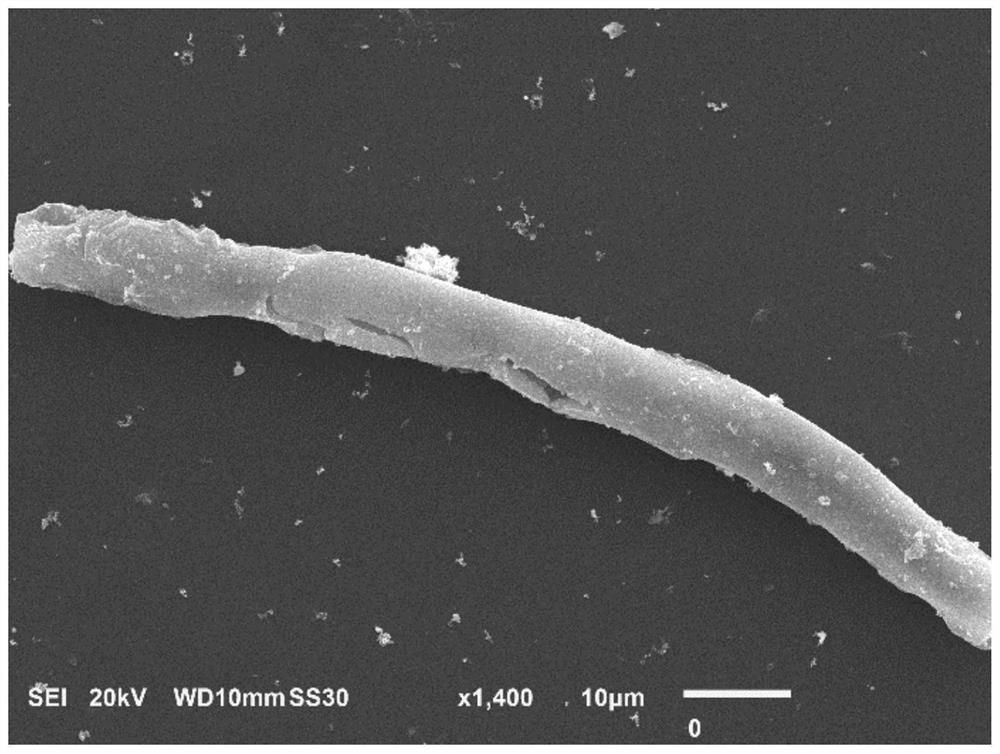 protein-fes  <sub>2</sub> Bioconjugated nanofibers and their preparation and use