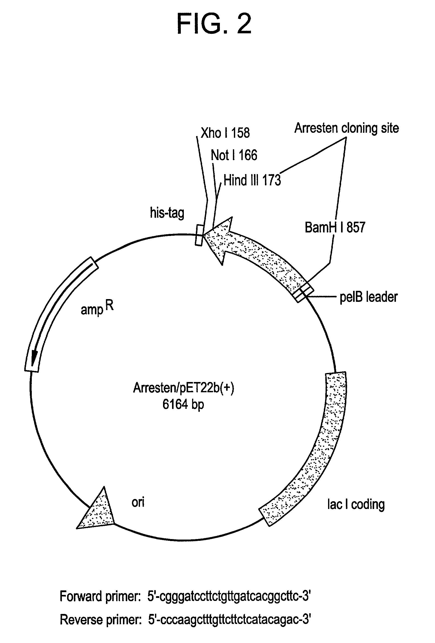 Anti-angiogenic proteins and fragments and methods of use thereof