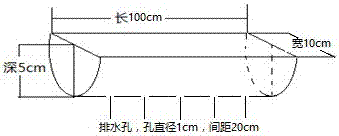 U-Channel shallow cultivation method of Pinellia ternata