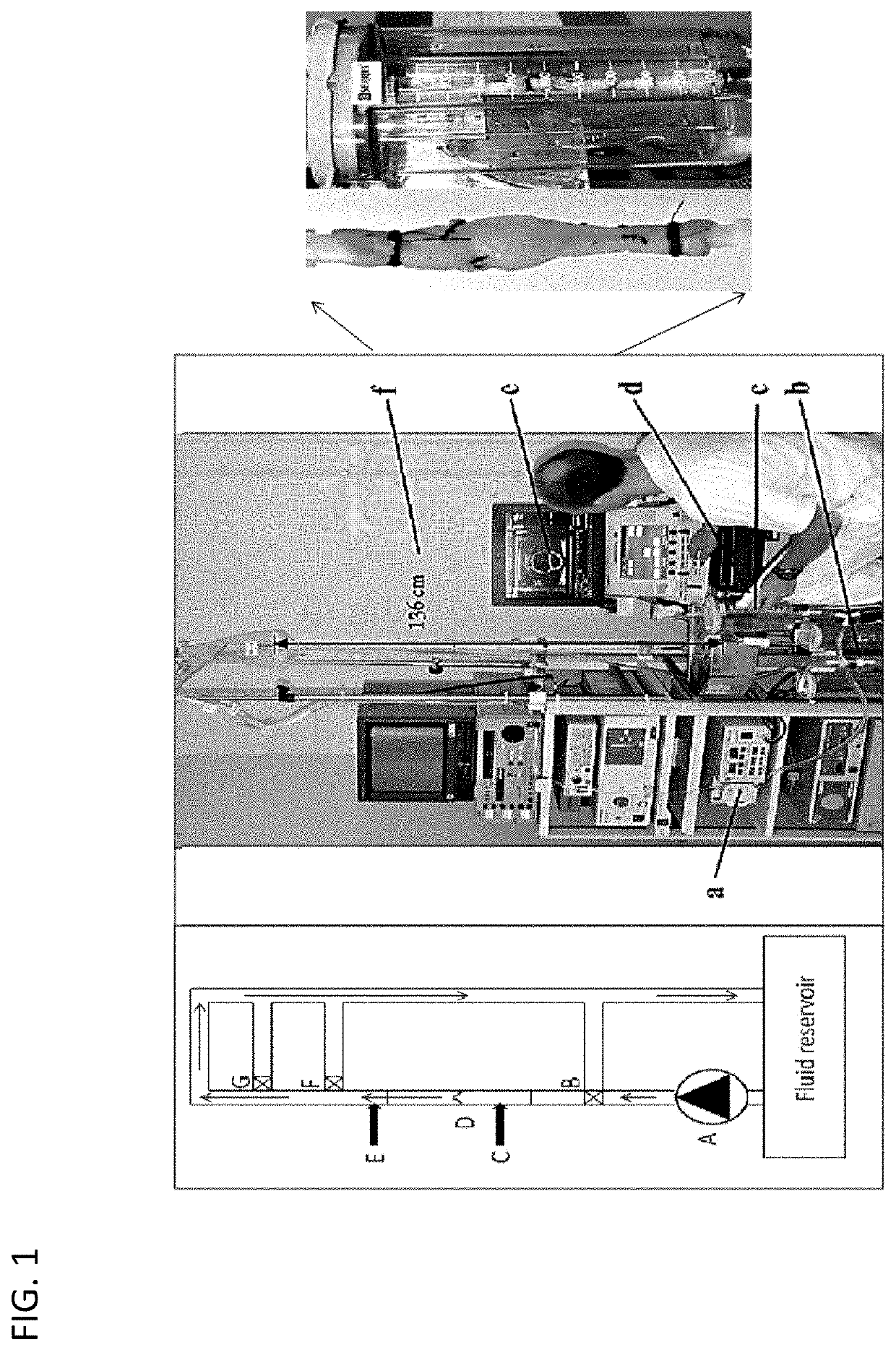 Bioengineered allogeneic valve