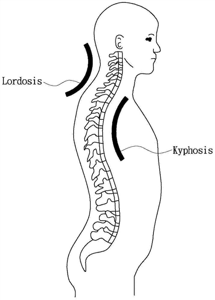 A device capable of performing electrotherapy massage on the head, neck and shoulders