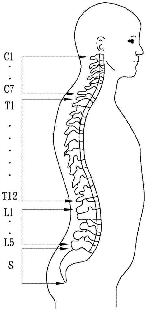 A device capable of performing electrotherapy massage on the head, neck and shoulders