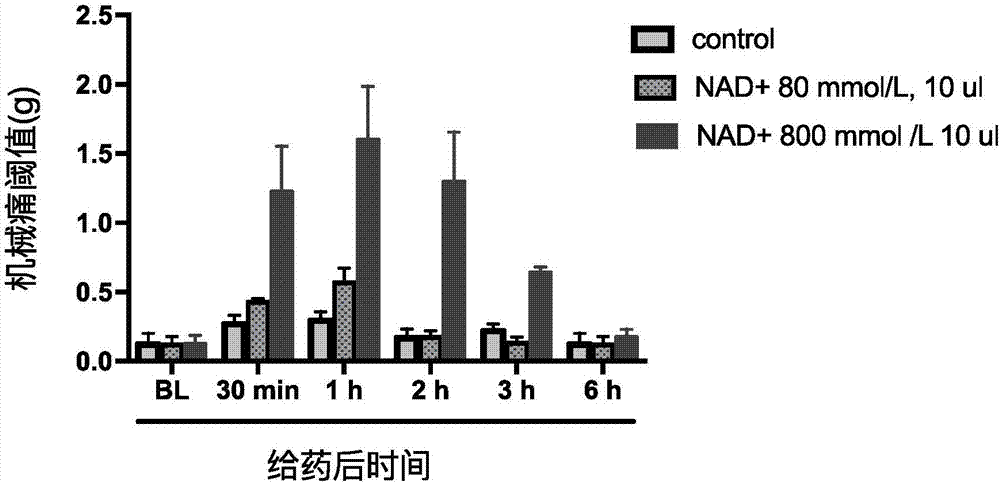 Use of nicotinamide adenine dinucleotide in preparation of drug for treating cancer pain