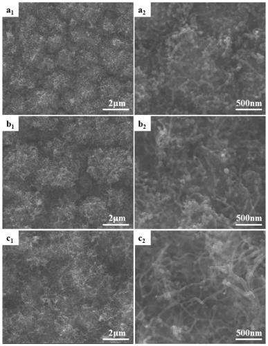 Non-enzymatic biosensor based on carbon material/boron-doped diamond composite electrode as well as preparation method and application of non-enzymatic biosensor