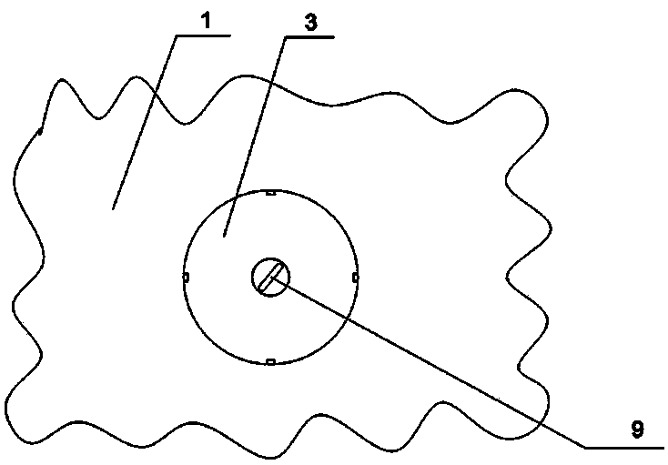 Spinning method and device of single-component sheath-core fiber