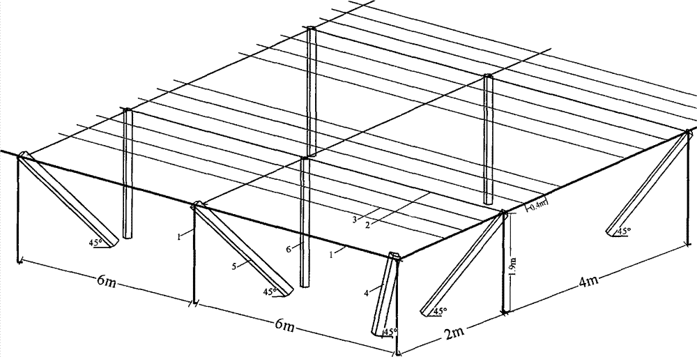 Reshaping and cultivating method of pear tree with single trunk and two main branches