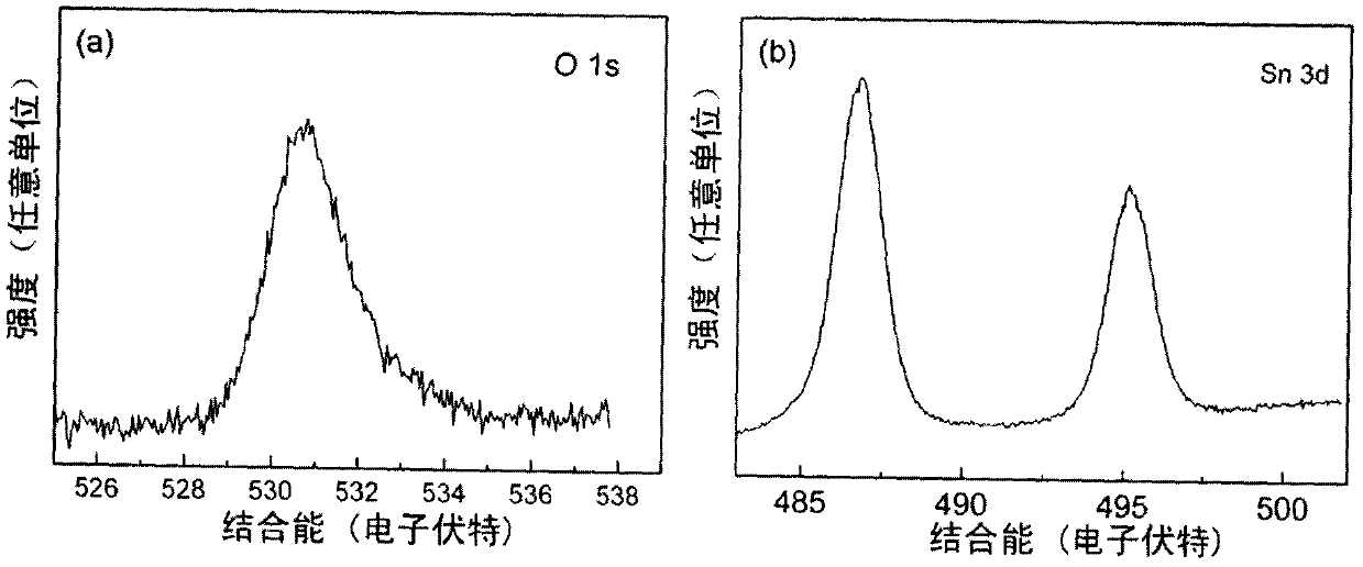 Nitrogen-doped p-type tin dioxide film and preparation method thereof