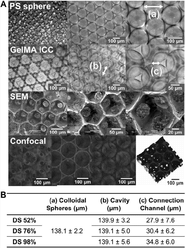 Gelatin-based reverse gel crystal hydrogel three-dimensional bracket, preparation method and application thereof