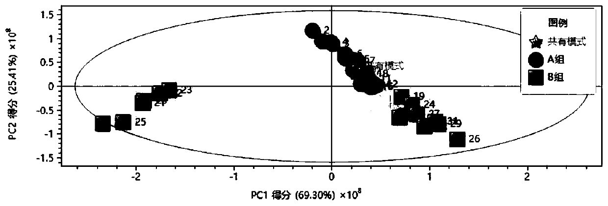 Tobacco shred perfuming uniformity evaluation method based on PCA ellipse area