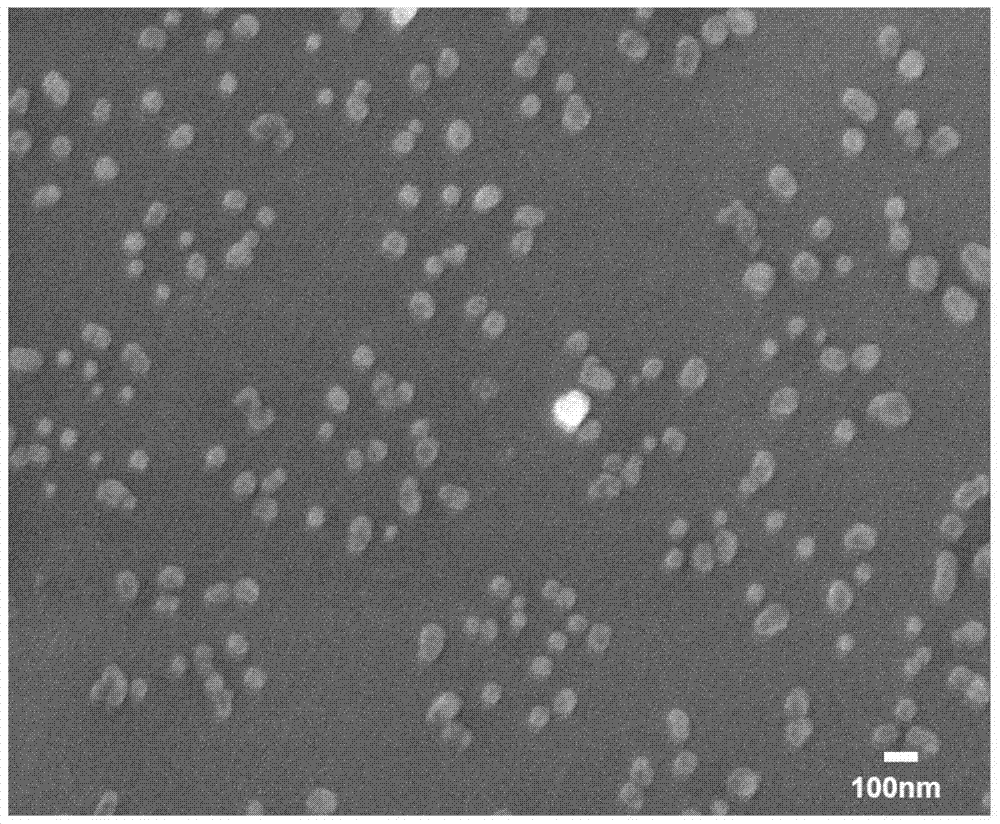 PMX‑53 gelatin composite particles and preparation method thereof