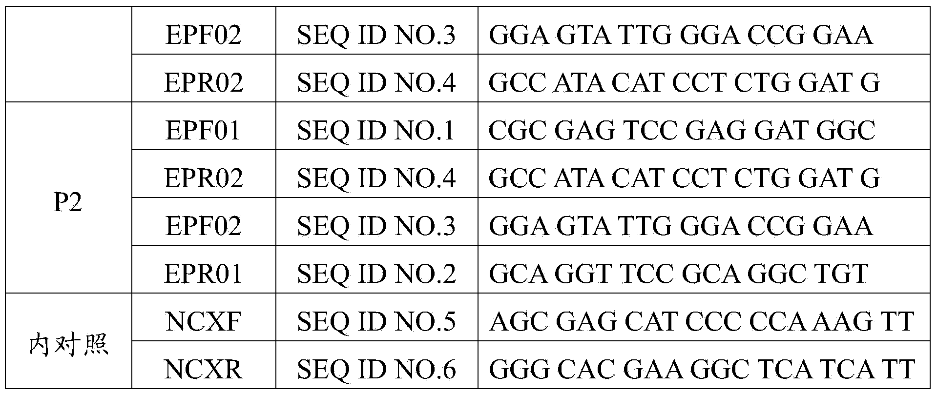 Primer for rapidly detecting HLA-B*1502 allele, kit and detection method