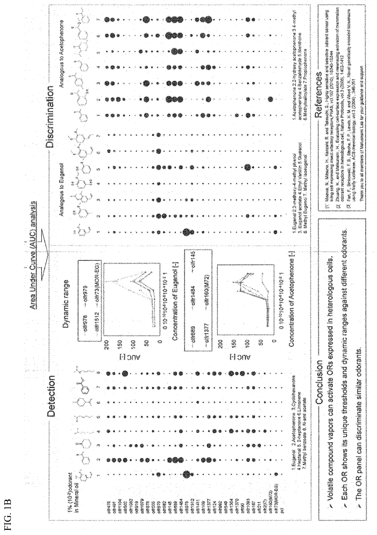 Methods for vapor detection and discrimination with mammalian odorant receptors expressed in heterologous cells