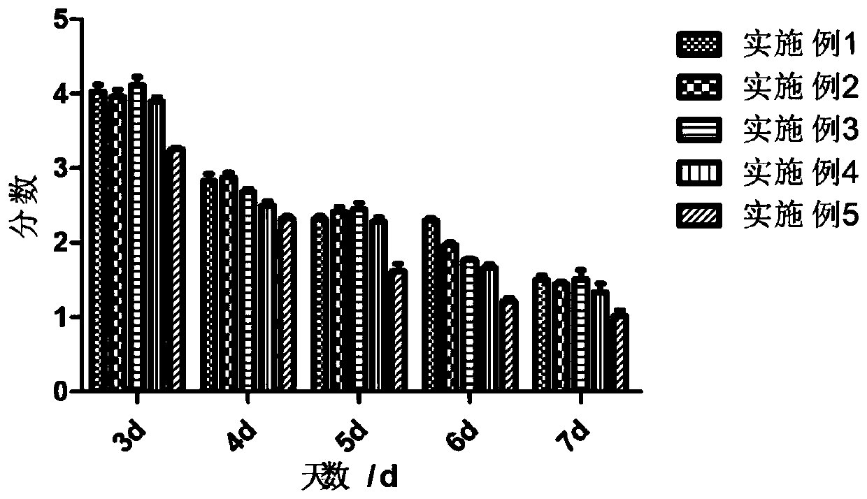 Food preservative and preparation method thereof