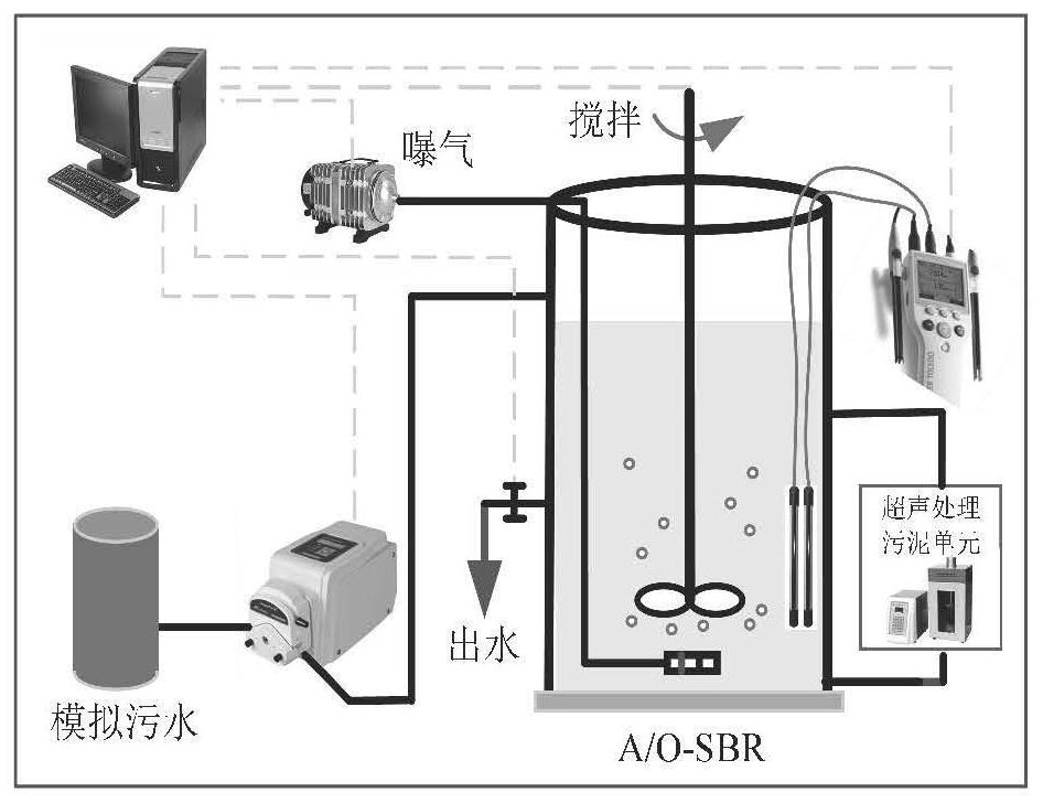 Method for screening short-cut nitrifying bacteria by using low-intensity ultrasonic waves and application thereof