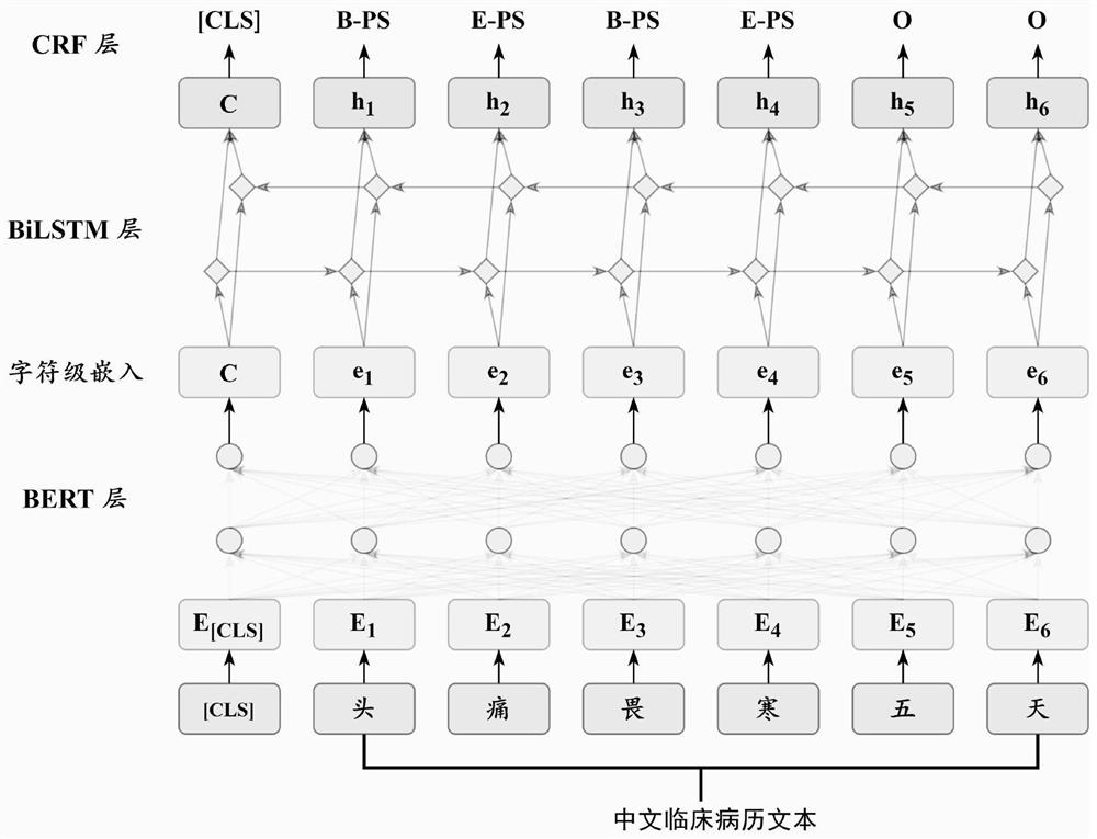Chinese clinical phenotype fine-grained named entity recognition method and system