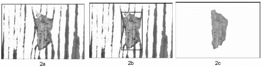 Interactive Wear Particle Image Annotation Method