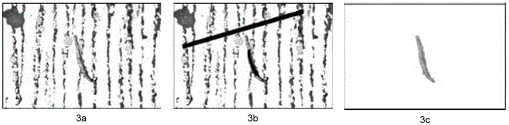 Interactive Wear Particle Image Annotation Method