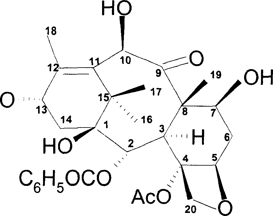 Method for separating and purifying 10-deacetyl Baccatins III