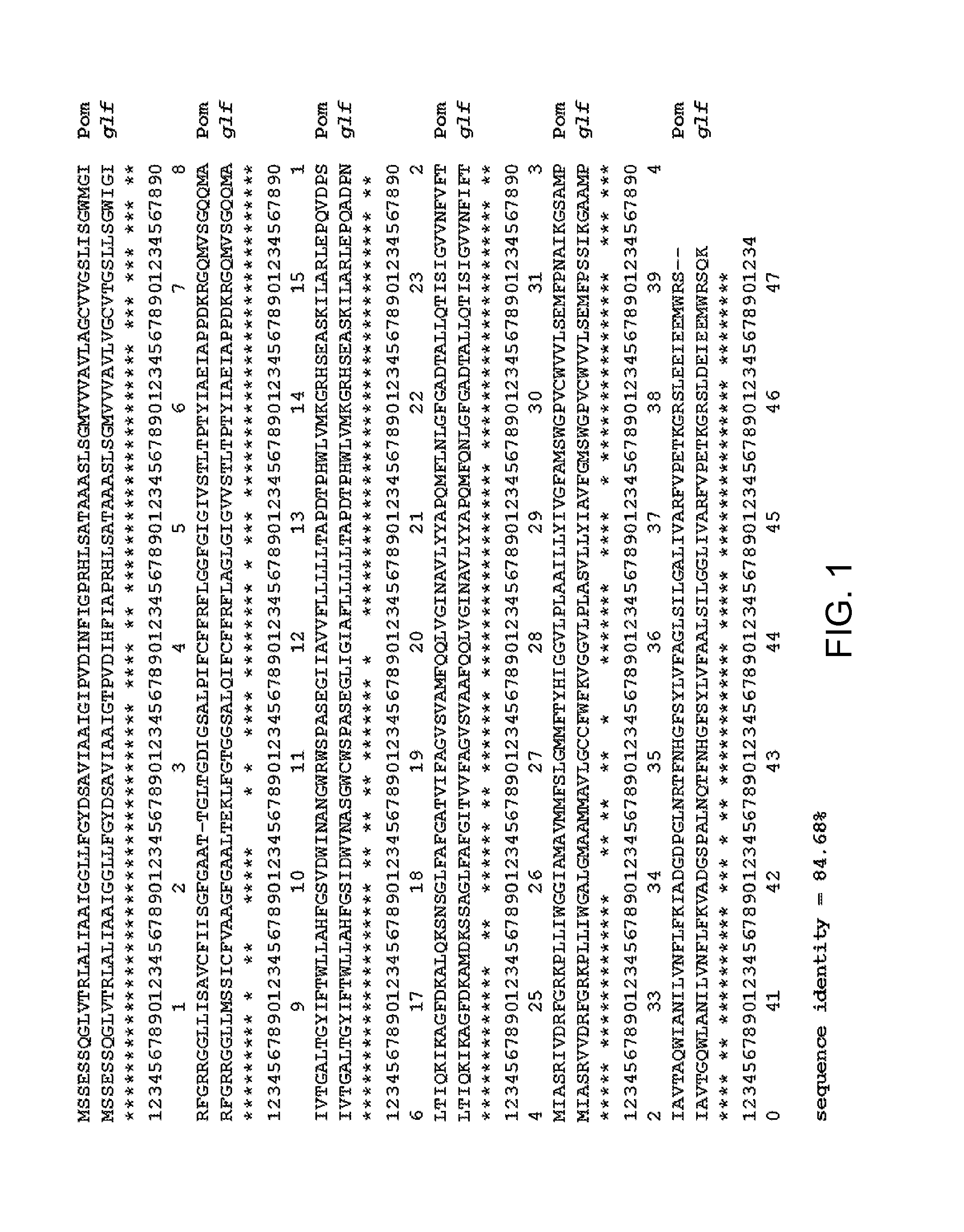 Glucose and xylose co-utilization in <i>E. coli </i>