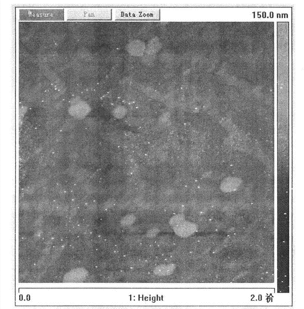 Taxol-based small-molecule hydrogel and preparation method thereof