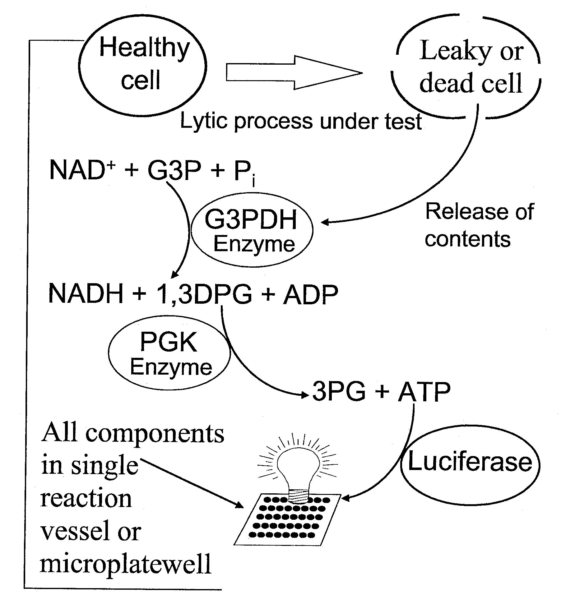 Methods and compositions for coupled luminescent assays