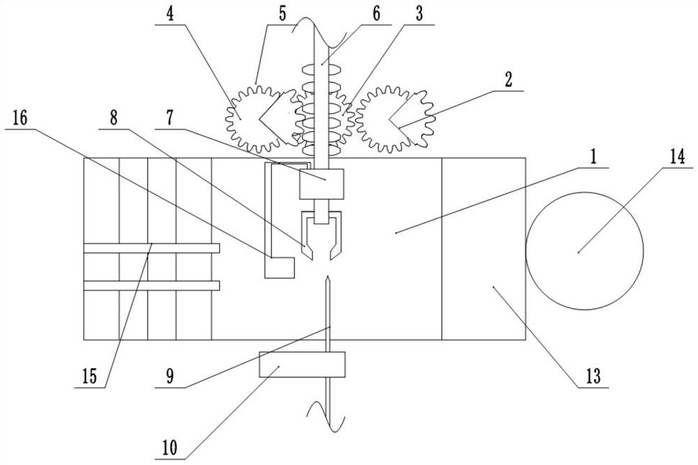 Kiwi cleaning and peeling machine