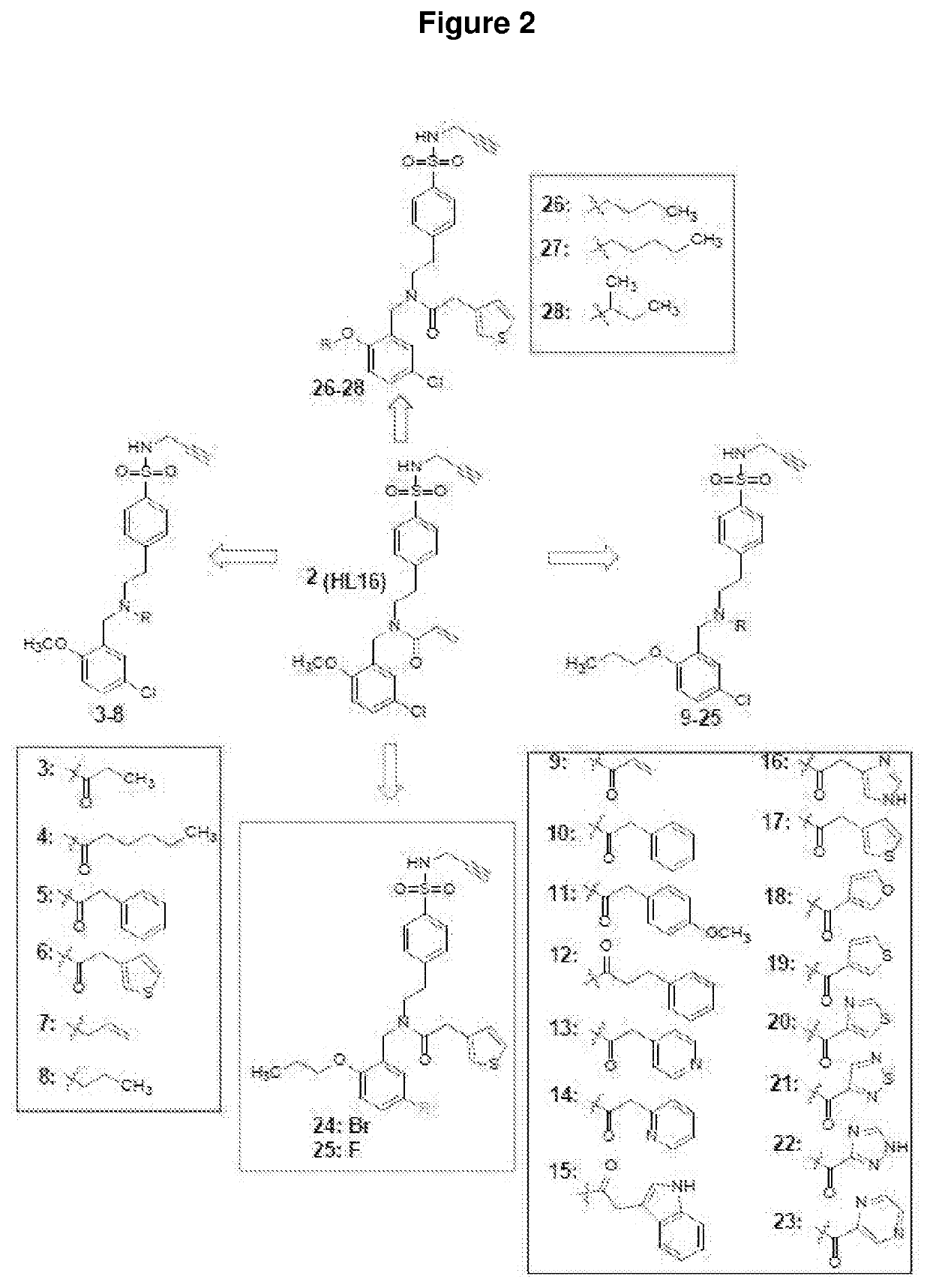 Compounds as nlrp3 inflammasome inhibitors and compositions and uses thereof