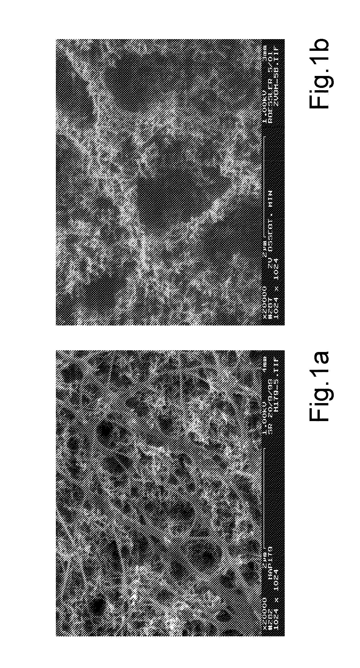 Growth-inhibited hydroxyapatite, process for its preparation and use