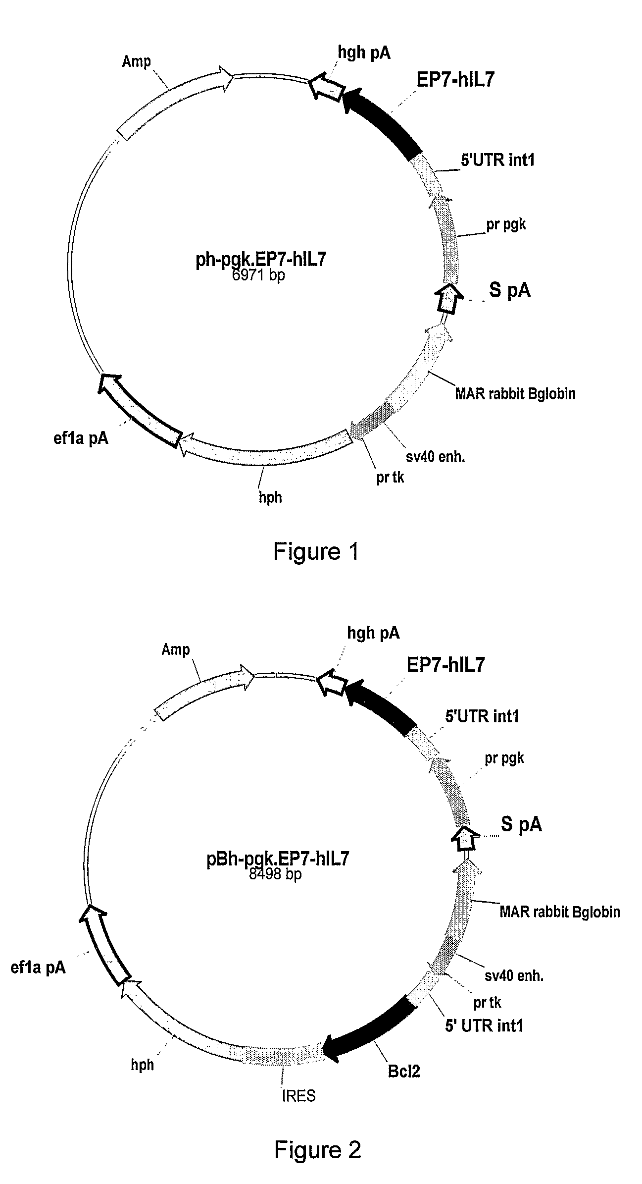 Glycosylated IL-7, preparation and uses