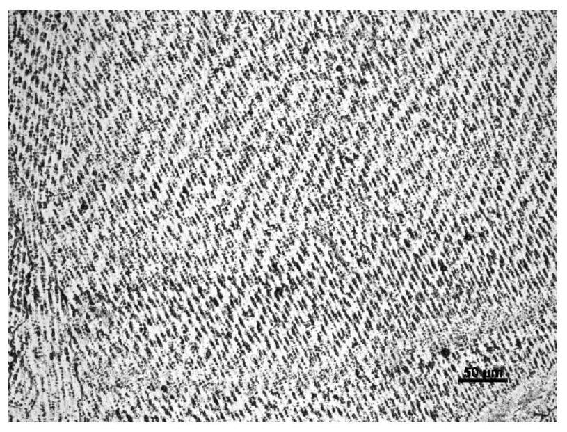 FeCoNiCrMnAl high-entropy alloy electrolytic corrosion electrolyte and metallographic structure display method thereof