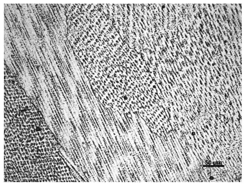 FeCoNiCrMnAl high-entropy alloy electrolytic corrosion electrolyte and metallographic structure display method thereof