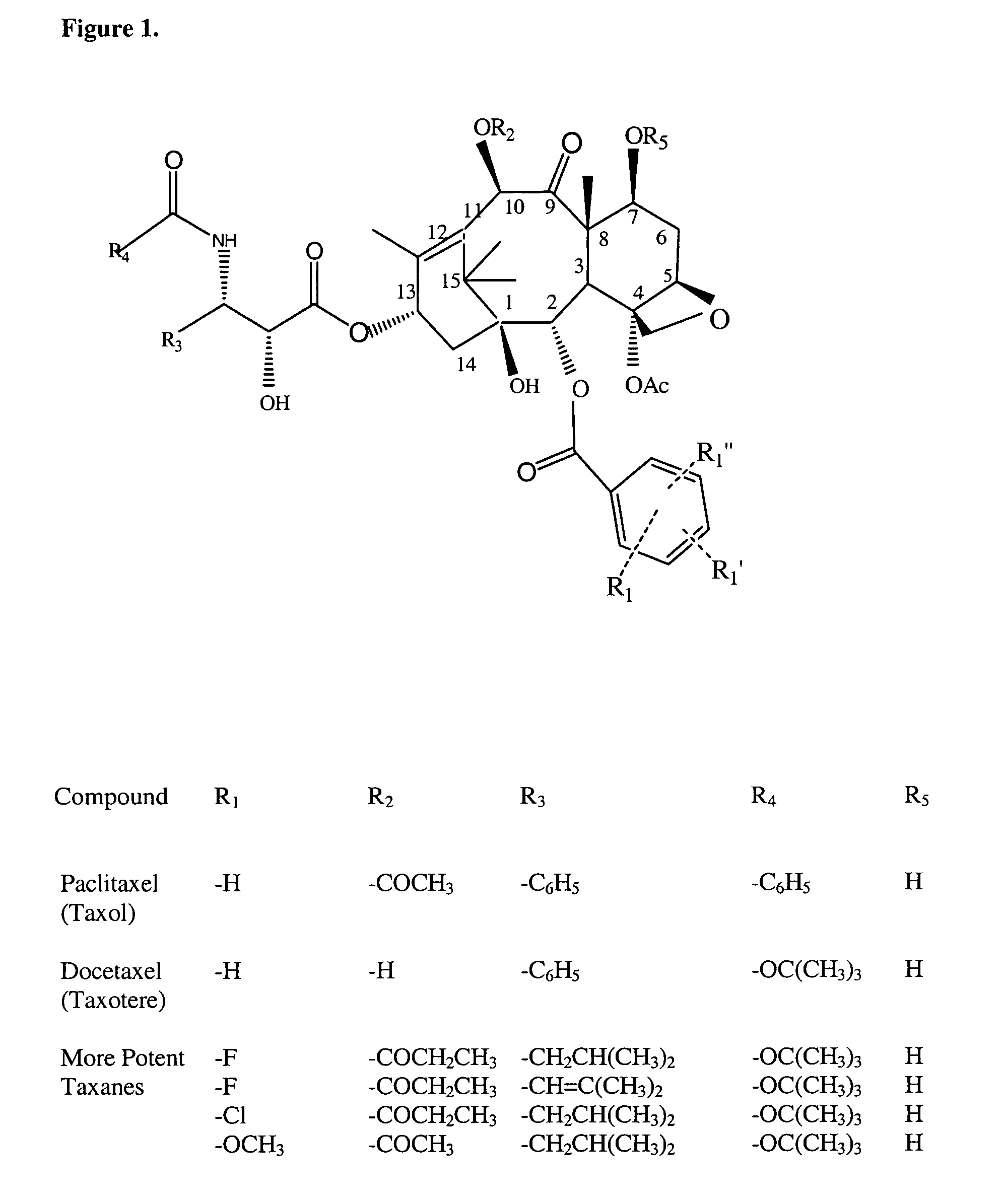 Cytotoxic agents comprising taxanes and their therapeutic use