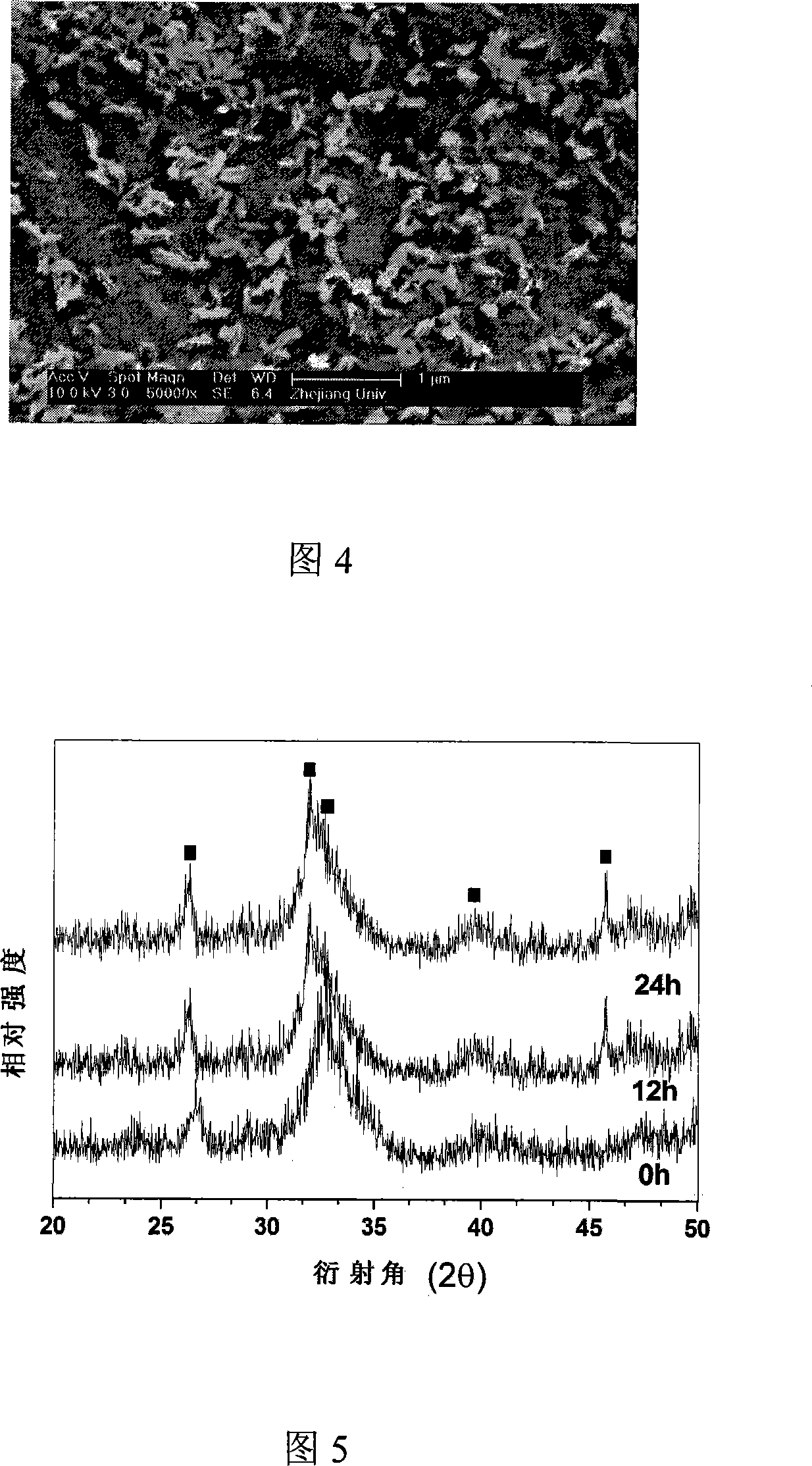 Method for preparation of collagen / chitose supporting stand of composite hydroxylapatite
