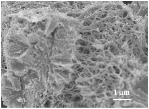 A kind of preparation method of yttrium zirconate ceramic microcrystalline opaque glaze with photocatalytic function