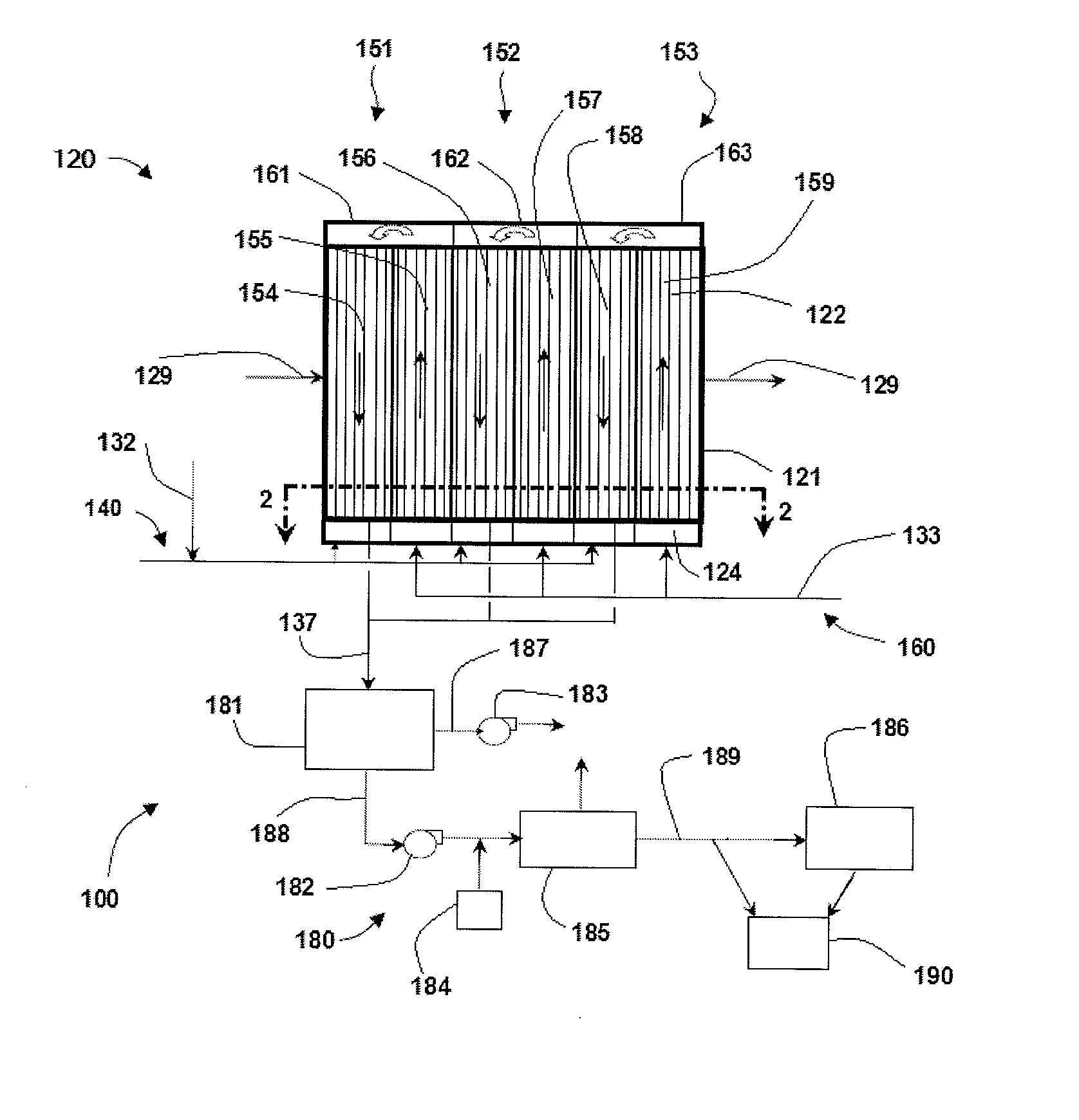 System and Method for Growing Photosynthetic Cells