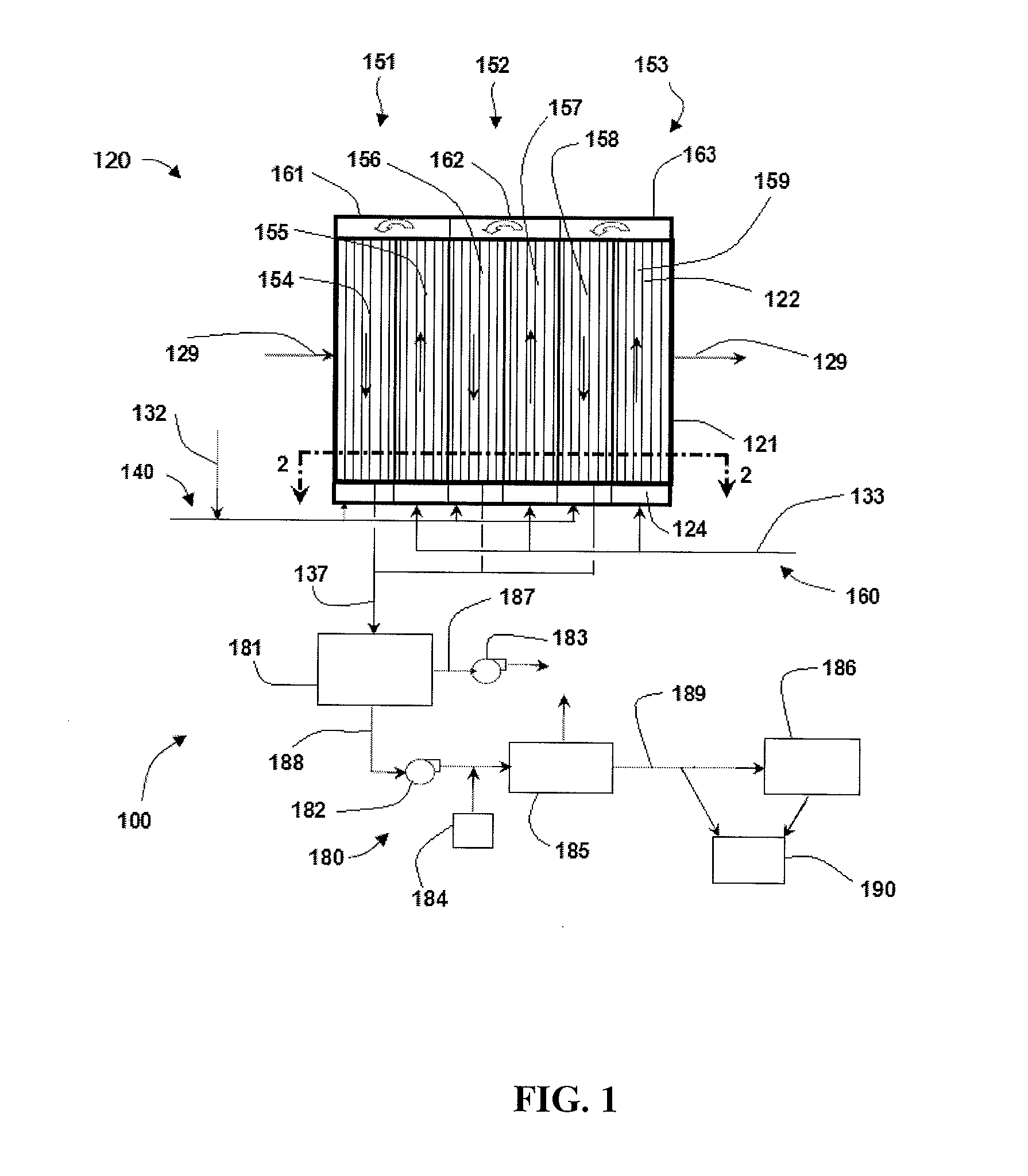 System and Method for Growing Photosynthetic Cells