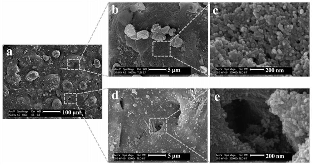 A kind of super wear-resistant super amphiphobic coating and its preparation method and application