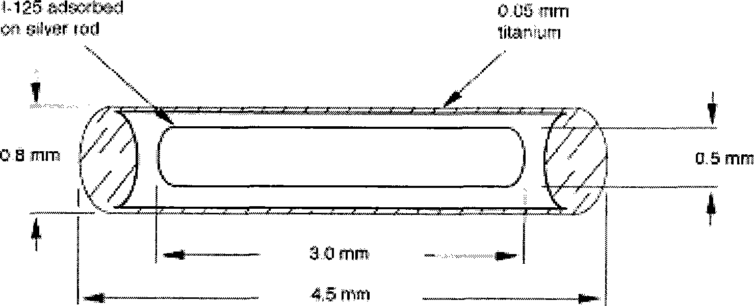 Technique for preparing coating of iodine-125 sealed seed source silver carrier rod