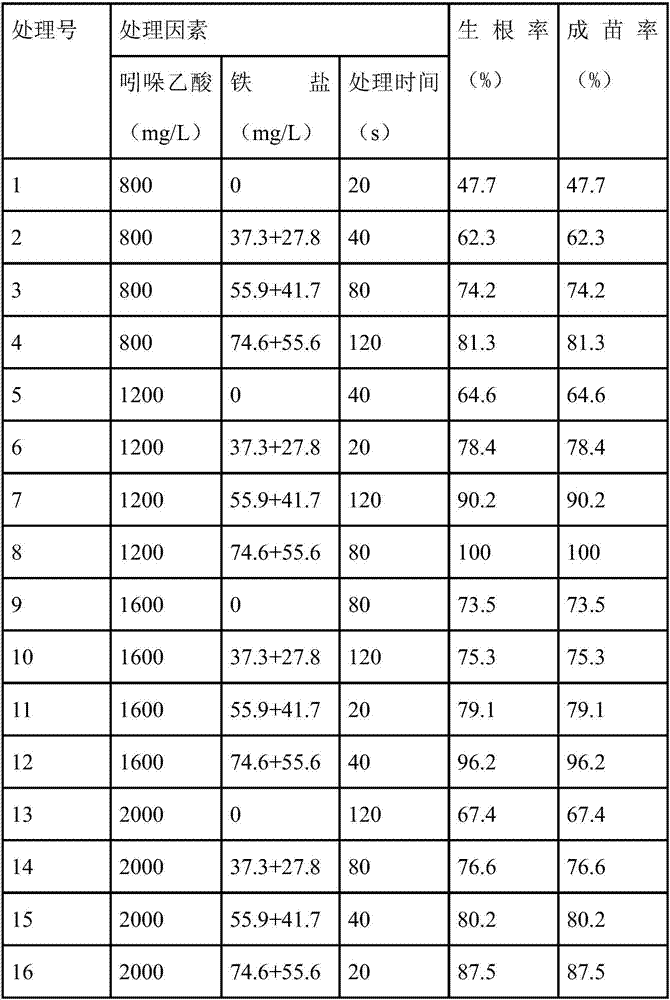 Method of fast propagating good strain seedlings of soapberry