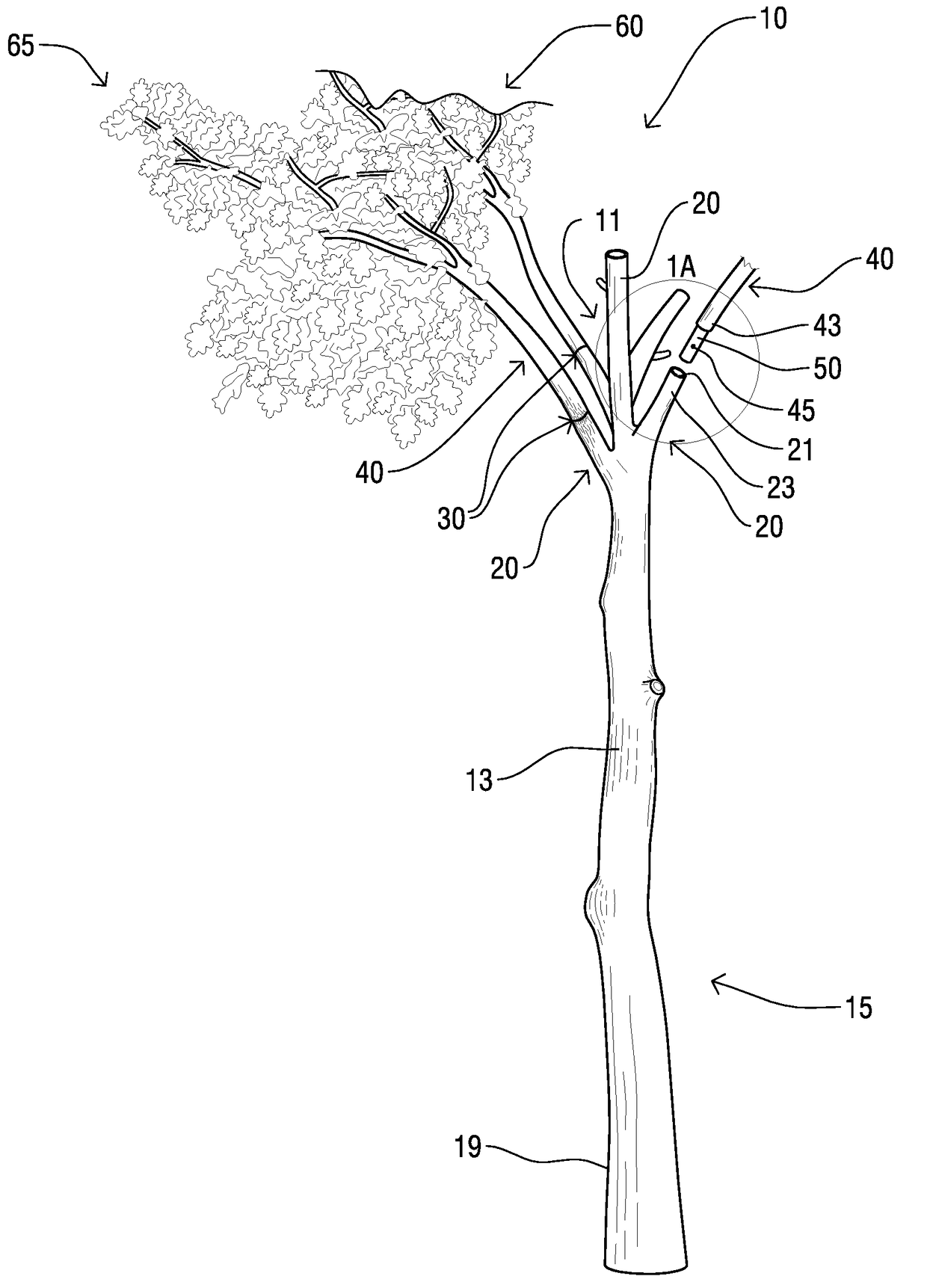 Decorative Tree with Insertable, Interchangeable Branches System and Method