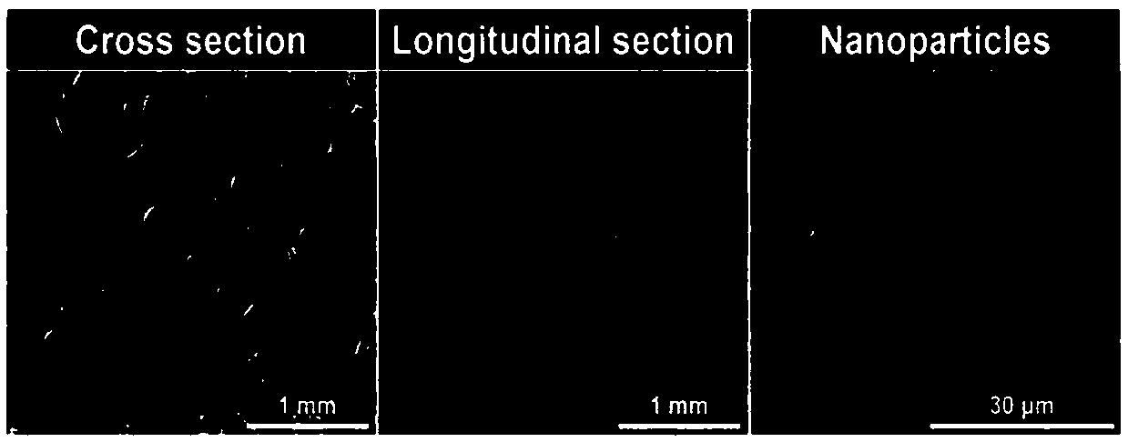 Difunctional integrated bone-cartilage composite tissue engineering scaffold for clinic treatment of osteosarcoma