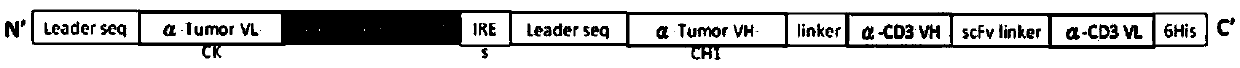 Bispecific antibody and using method thereof