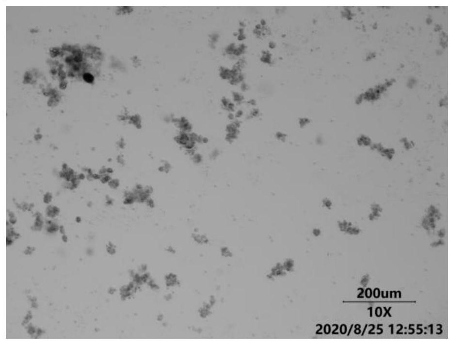 A kind of culture solution for colorectal cancer organoid culture and preparation method thereof