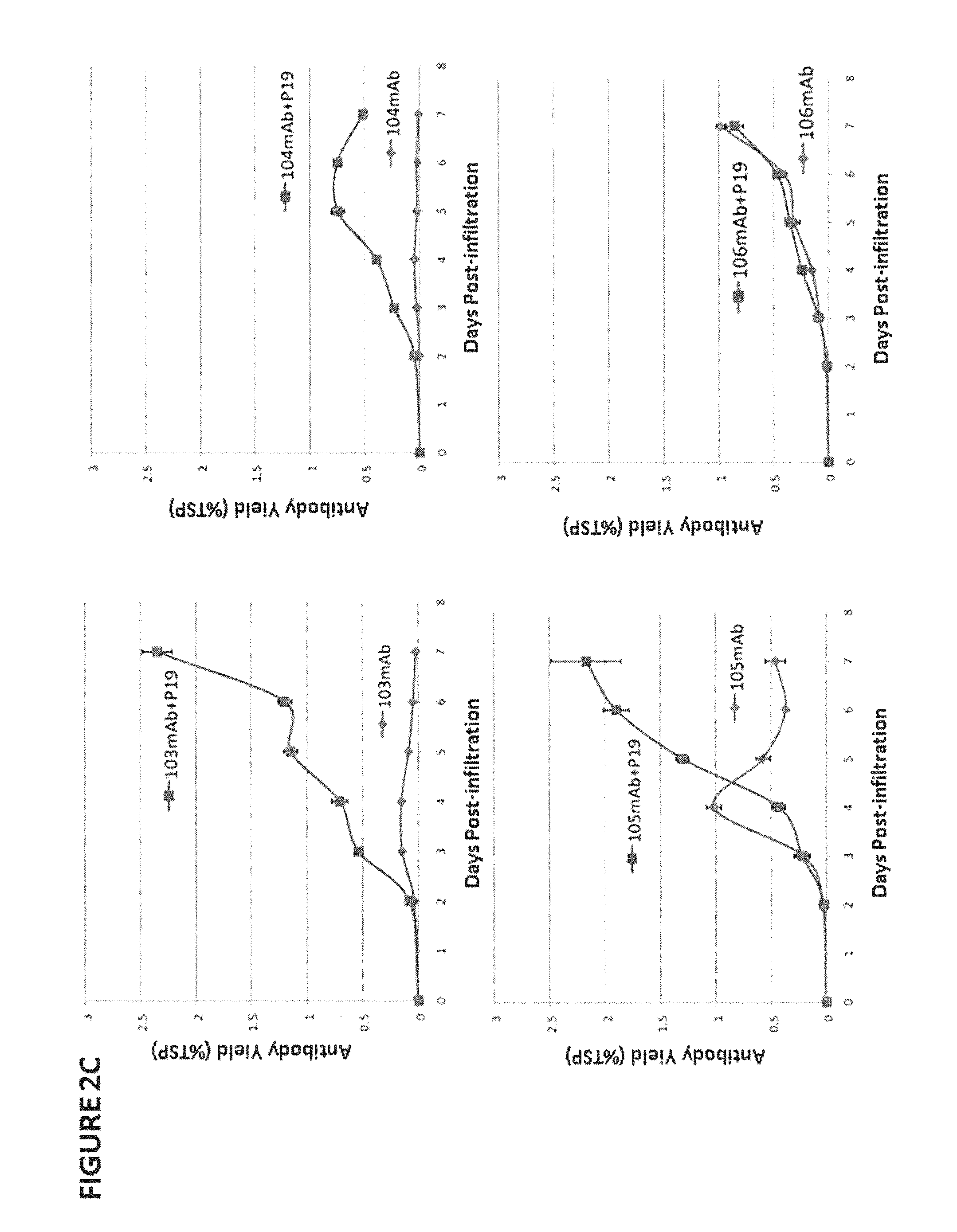 Vectors and Methods For Enhancing Recombinant Protein Expression in Plants