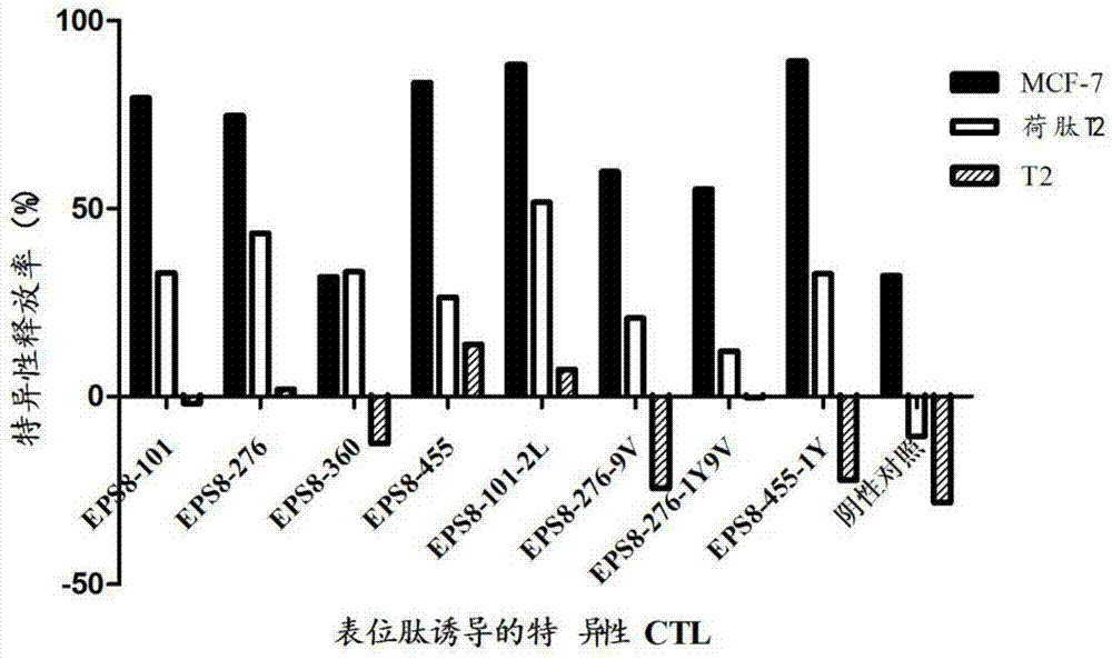 EPS8-derived antitumor CTL epitope peptide and application thereof