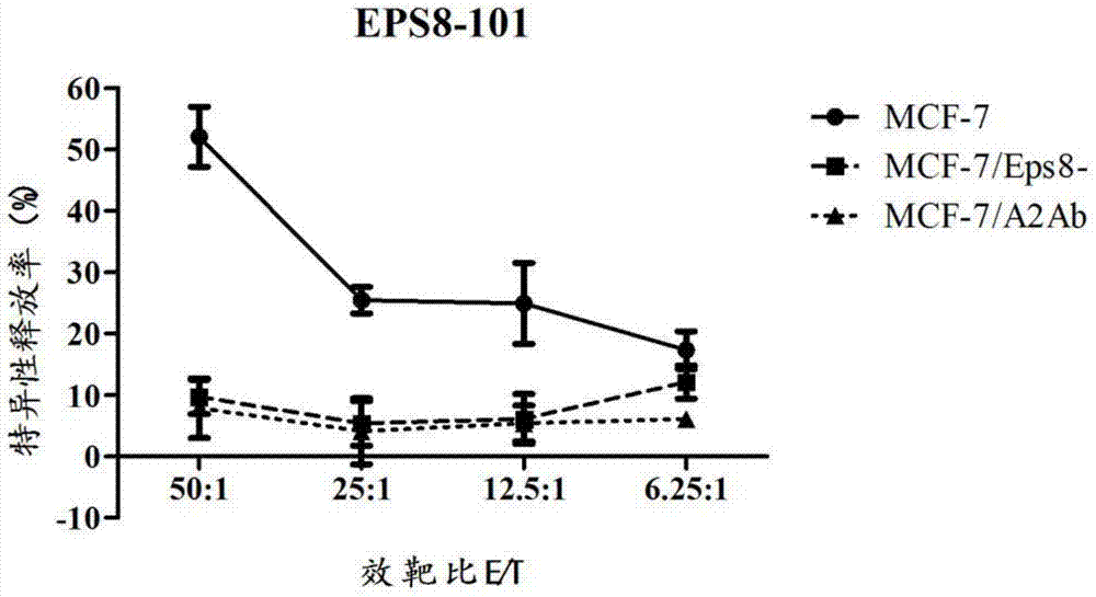 EPS8-derived antitumor CTL epitope peptide and application thereof