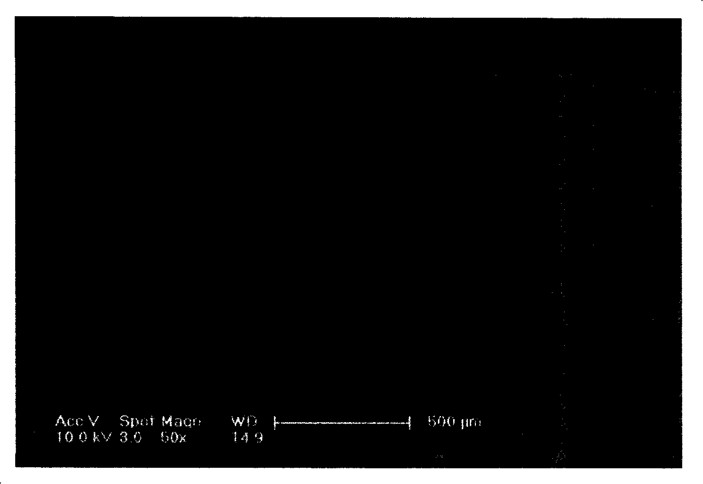 Preparation of carbon nano-tube array